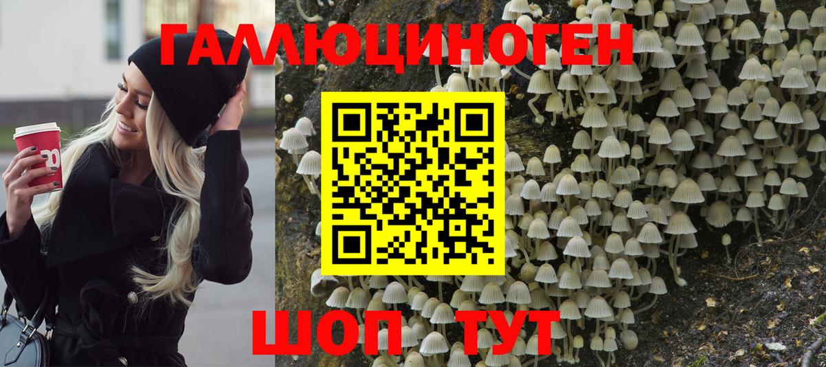Галлюциногенные грибы Cubensis  Галлюциногенные грибы GOLDEN TEACHER  Вход с VPN  Михайловск 